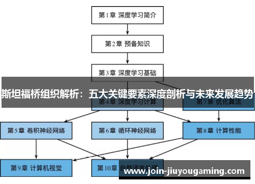 斯坦福桥组织解析：五大关键要素深度剖析与未来发展趋势